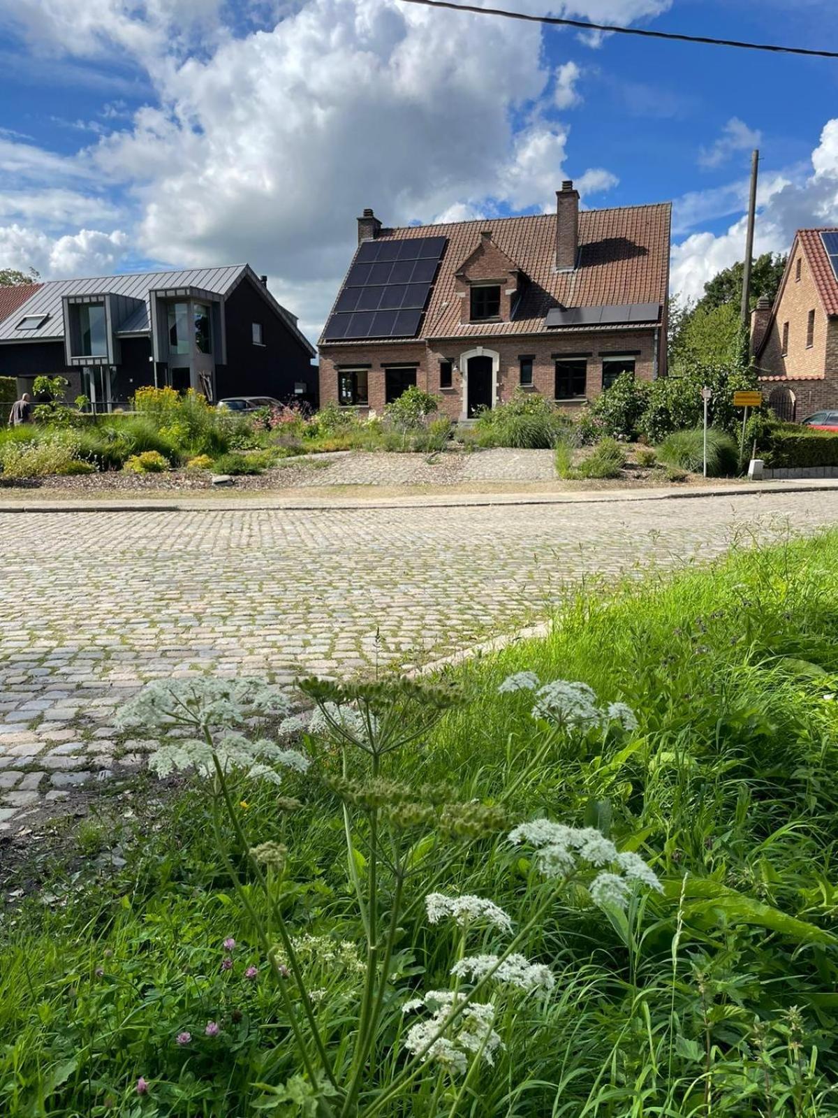 B&B Den Biesthoek Grimbergen Exterior foto